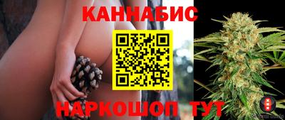 не бодяженный Гатчина