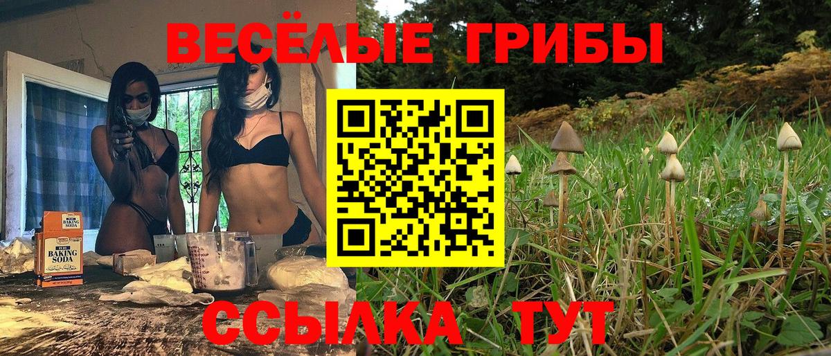 Вышний Волочёк  Псилоцибиновые грибы Psilocybe  Вход с VPN 